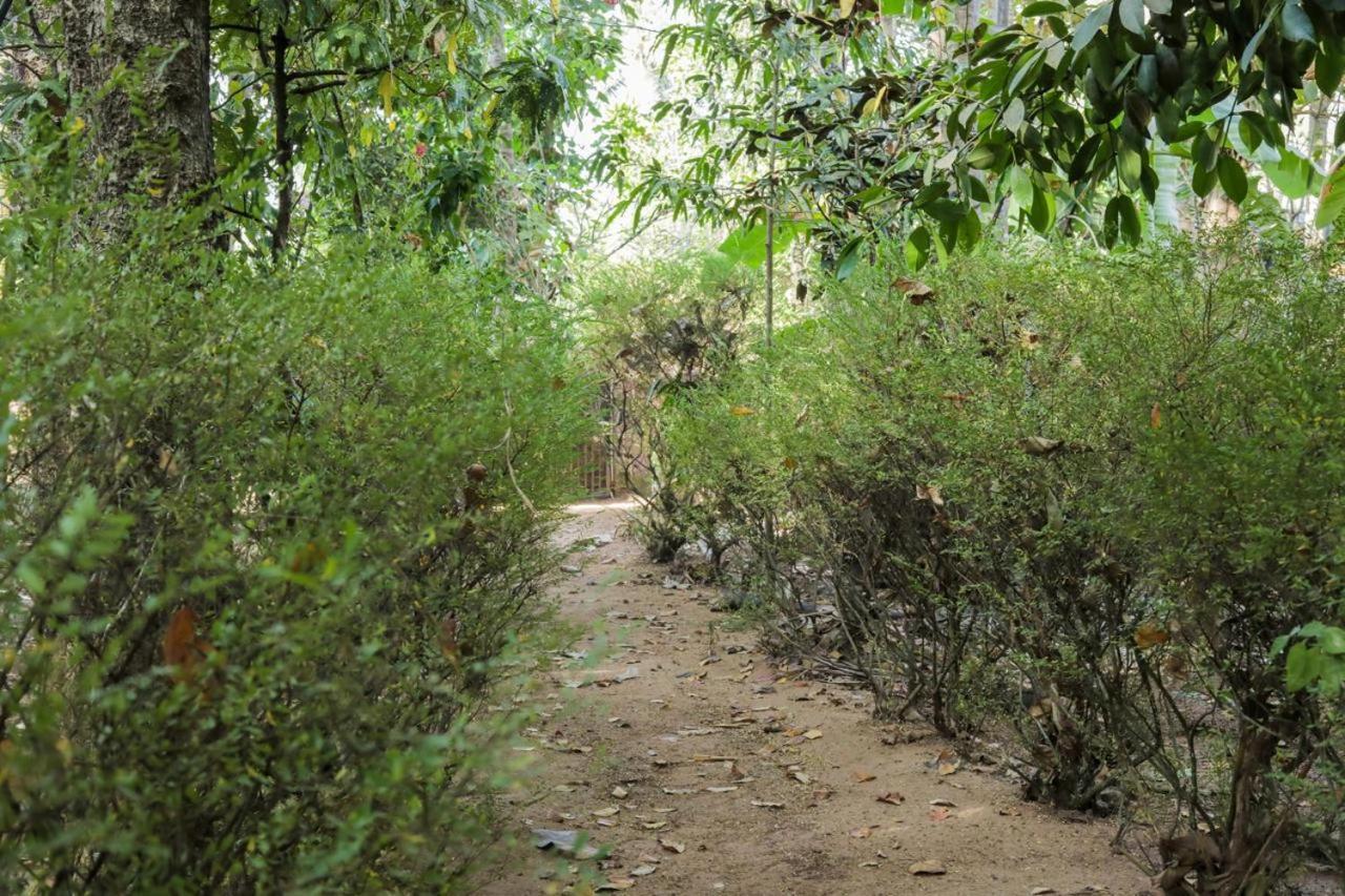 Nalukettu Heritage Resort Варкала Экстерьер фото