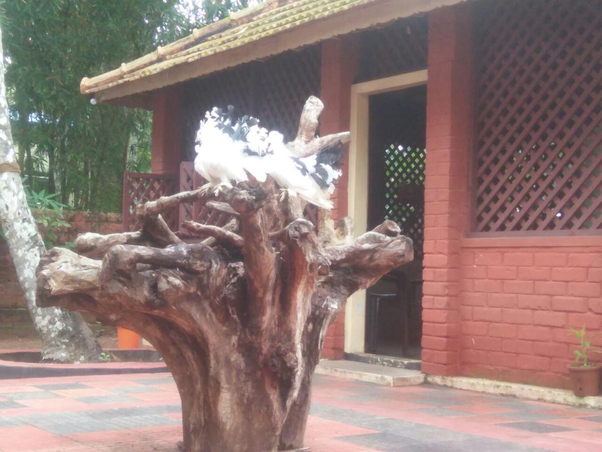Nalukettu Heritage Resort Варкала Экстерьер фото