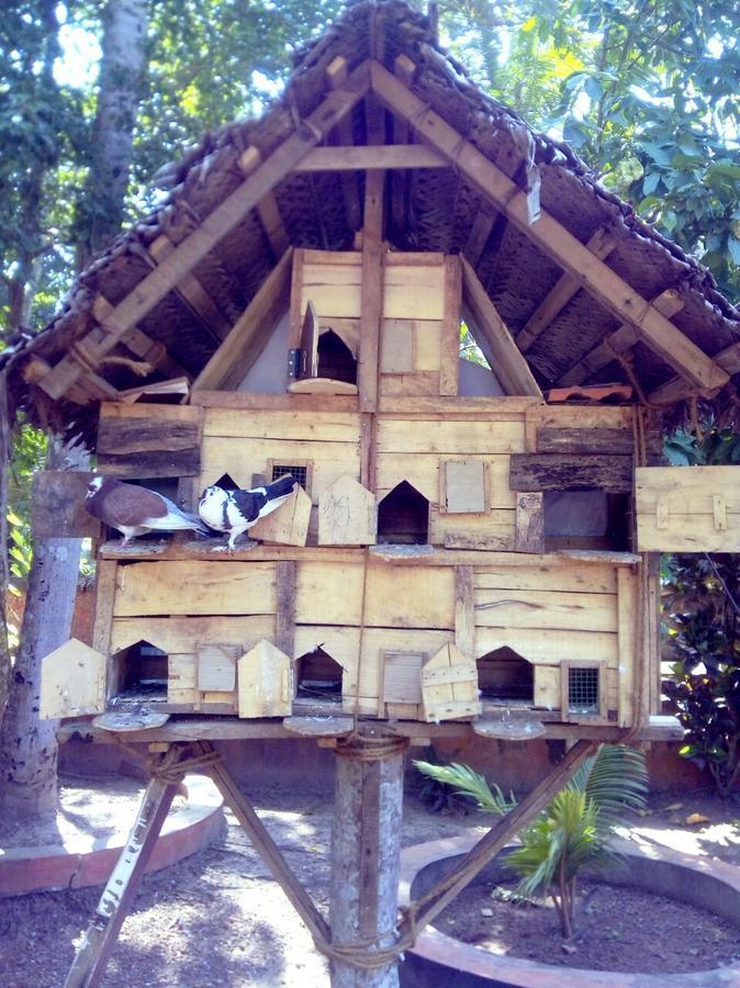 Nalukettu Heritage Resort Варкала Экстерьер фото